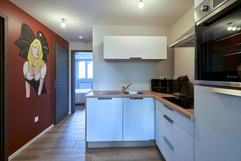 L'Alsacien Centre Ville 2 Chambres Et Terrasse Colmar Ngoại thất bức ảnh